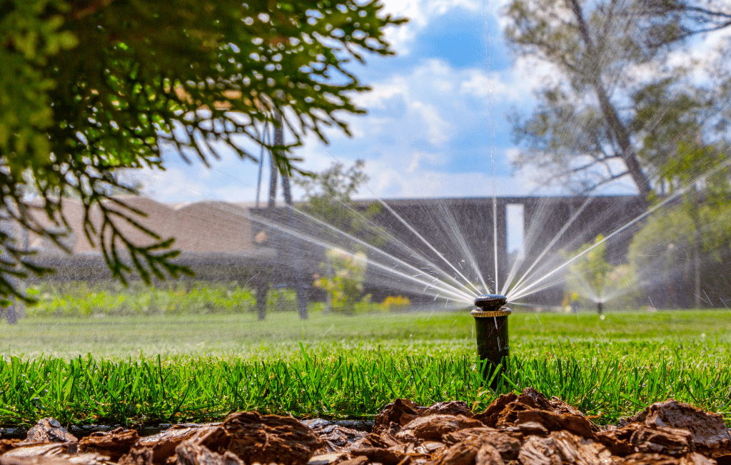 Irrigation Systems MN